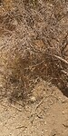 IMG_20230724_123040