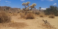 IMG_20230724_122916