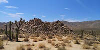 IMG_20230724_113500