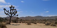 IMG_20230724_112810