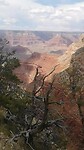 Grand Canyon 4