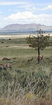 IMG_20230729_120804