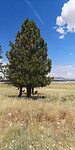 IMG_20230729_120612