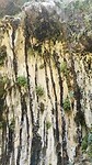 Zion 1 weeping rock