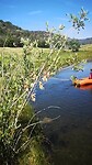 Op de camping bij Zion en Bryce