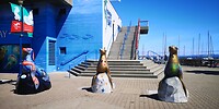 IMG_20230808_113007