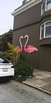 IMG_20230808_163117