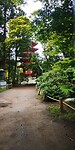 IMG_20230809_180654