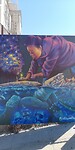 IMG_20230809_120650