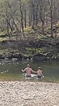 Steallfalls