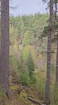 Zipline 4