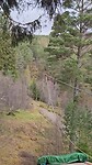 Zipline 5