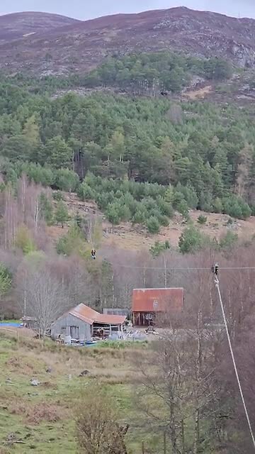 Zipline 7
