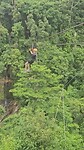 Zipline Toby 2