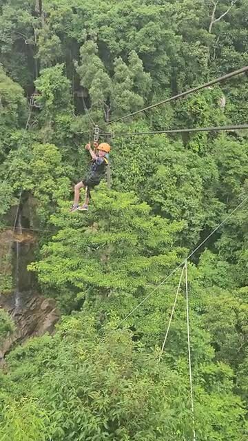 Zipline Toby 2