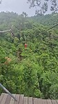 Zipline Lucas