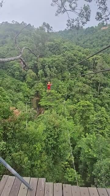 Zipline Lucas