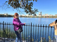 Waterreservoir van New York