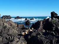 20190926_160329