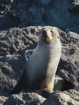 IMG_1174