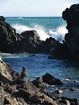 IMG_1186 (2)