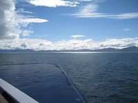IMG_1317