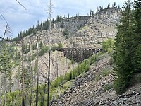 IMG_1768