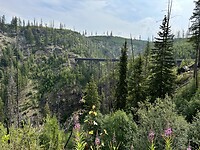 IMG_1772