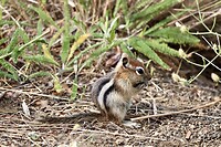 IMG_0496