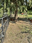 IMG_1713