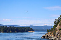 IMG_0581