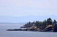 IMG_0591