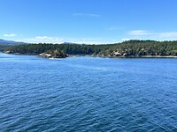 IMG_2020