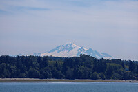 IMG_0560