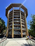 IMG_2132