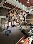 IMG_2085