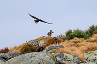 IMG_0911