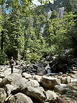 IMG_2878