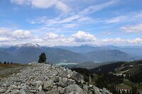 IMG_0981