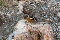 IMG_1006