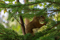 IMG_1117