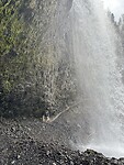 IMG_3481