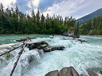 IMG_3557