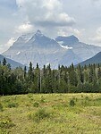 IMG_3541