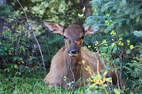 IMG_1176