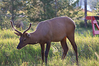 IMG_1251