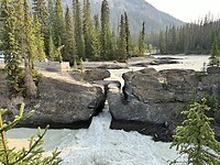 IMG_4020