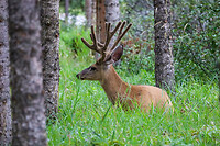 IMG_1404