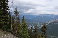 IMG_1385