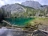 IMG_4525